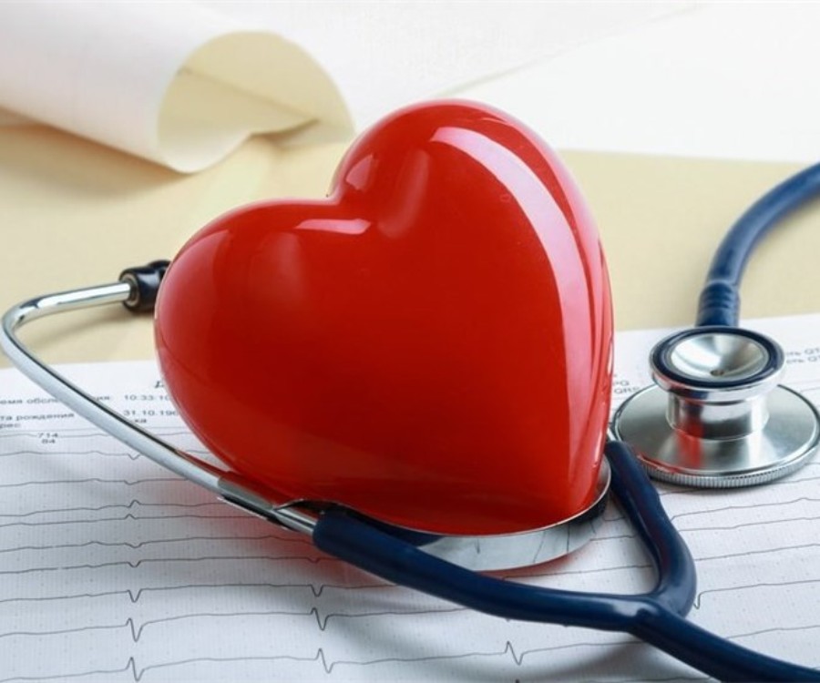 مضغة، إذا صلحت صلح الجسد كله