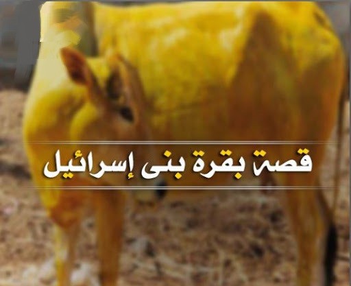 قصة بني إسرائيل و البقرة
