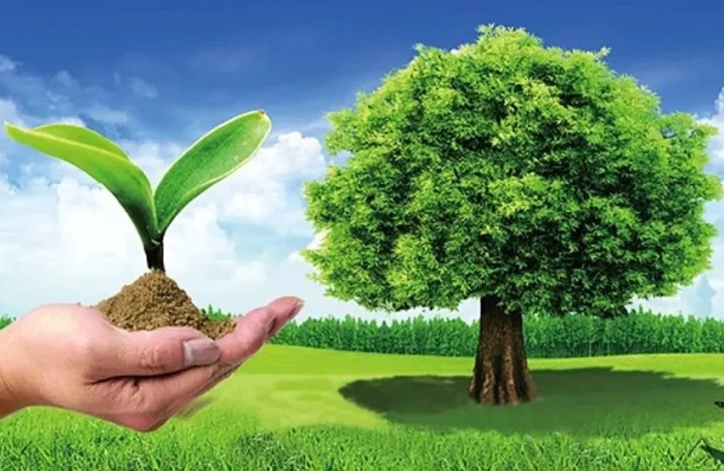 أحكام الصلاة